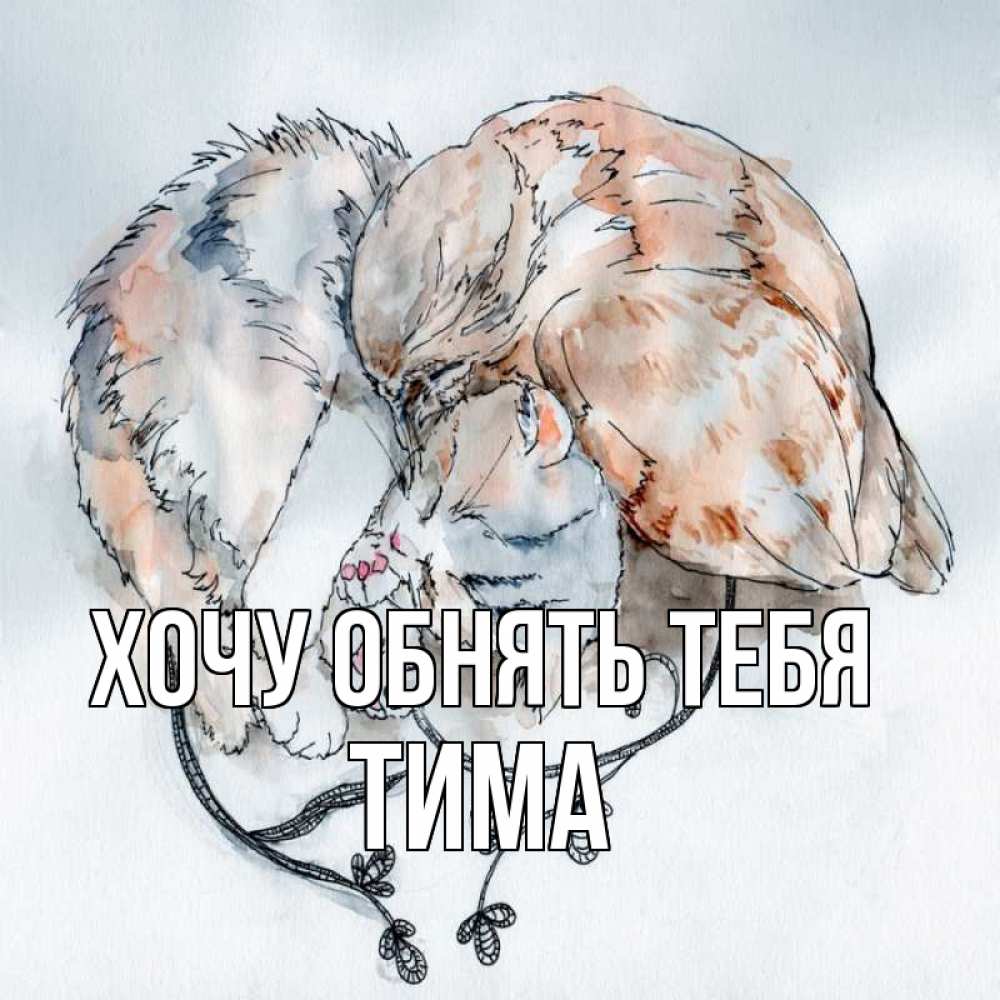 Открытка на каждый день с именем, Тима Хочу обнять тебя можно быть вместе даже когда очень разные Прикольная открытка с пожеланием онлайн скачать бесплатно 