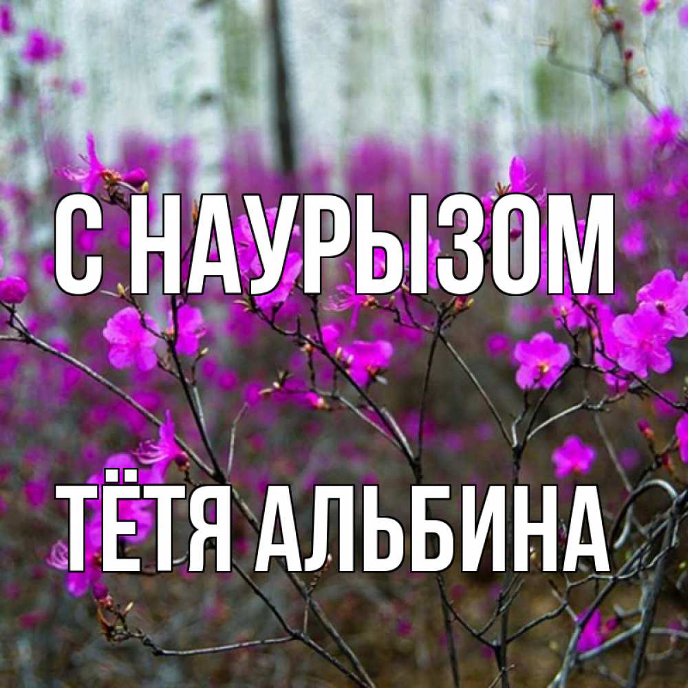 Открытка на каждый день с именем, Тётя-Альбина С наурызом дикие цветы Прикольная открытка с пожеланием онлайн скачать бесплатно 
