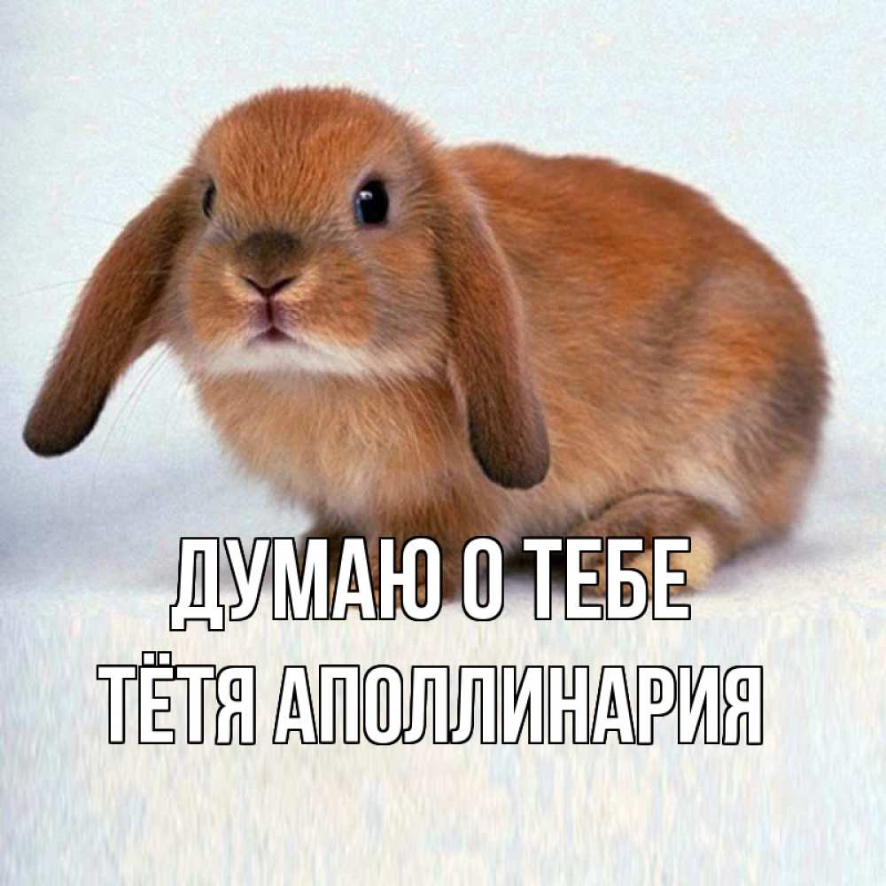 Открытка на каждый день с именем, Тётя-Аполлинария Думаю о тебе кроль коричневый Прикольная открытка с пожеланием онлайн скачать бесплатно 