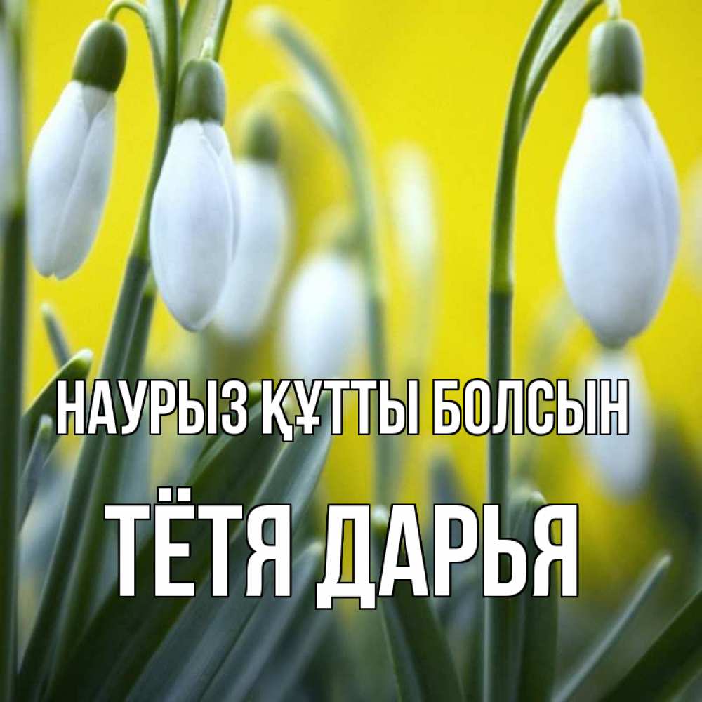 Открытка на каждый день с именем, Тётя-Дарья Наурыз құтты болсын весенние цветы Прикольная открытка с пожеланием онлайн скачать бесплатно 