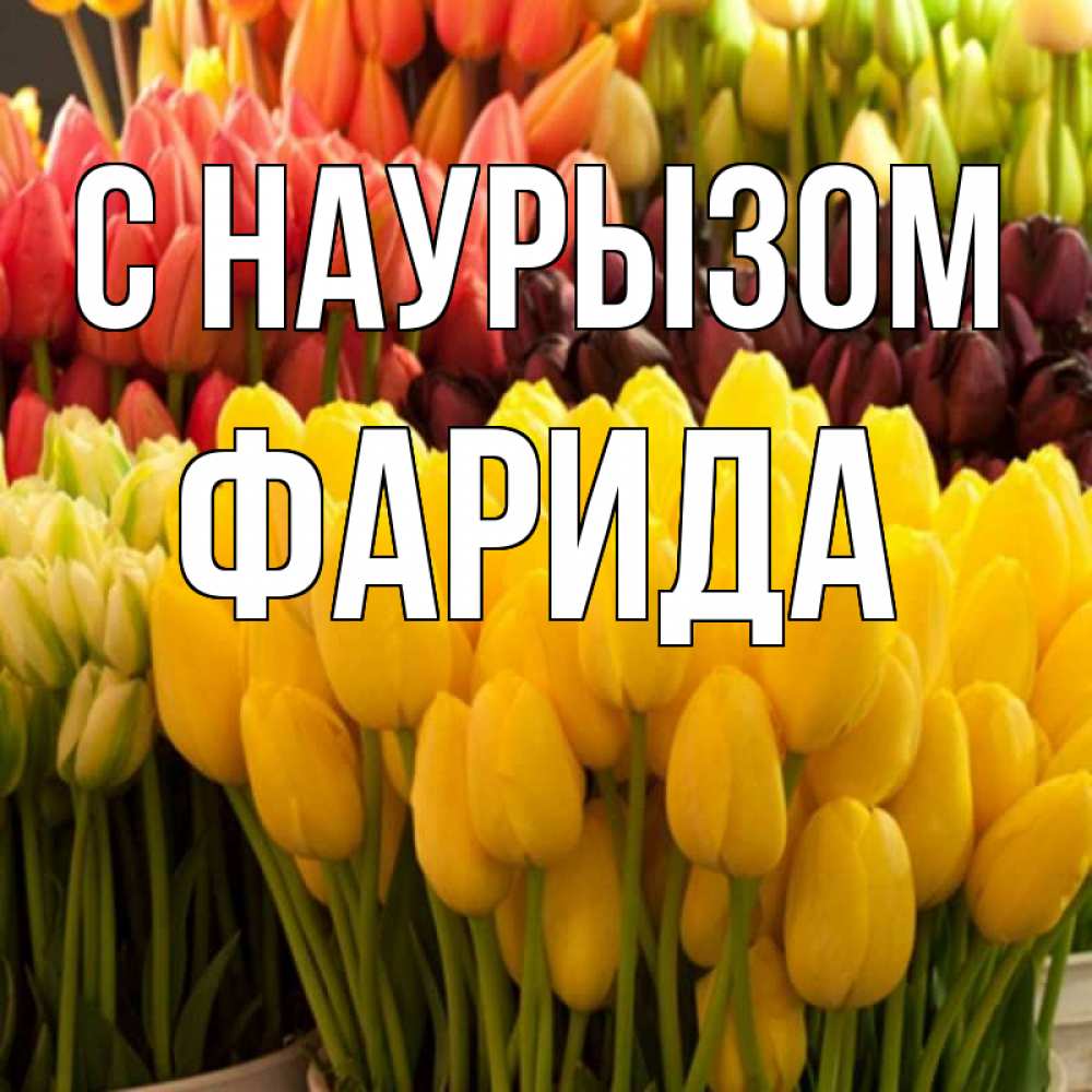 Открытка на каждый день с именем, Фарида С наурызом цветы Прикольная открытка с пожеланием онлайн скачать бесплатно 