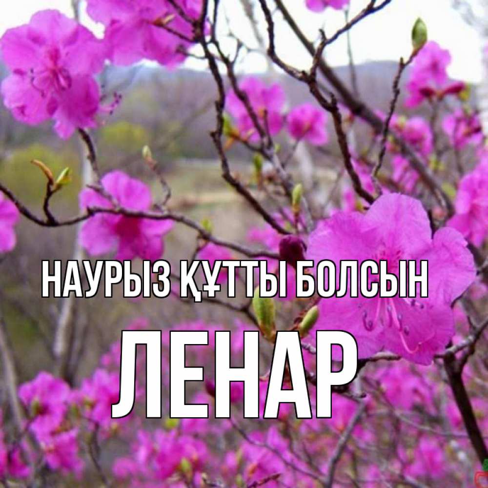 Открытка на каждый день с именем, Ленар Наурыз құтты болсын наурыз мейрамы кутты болсын Прикольная открытка с пожеланием онлайн скачать бесплатно 
