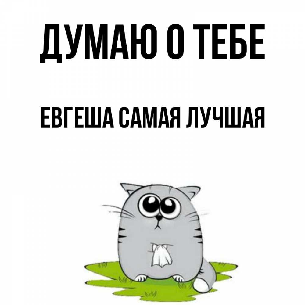 Евгеша С Днем Рождения Картинки