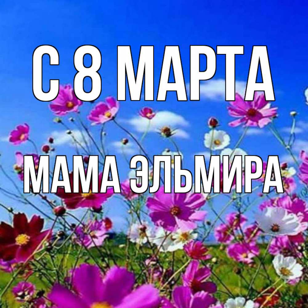 Открытка на каждый день с именем, Мама-Эльмира С 8 марта цветы Прикольная открытка с пожеланием онлайн скачать бесплатно 