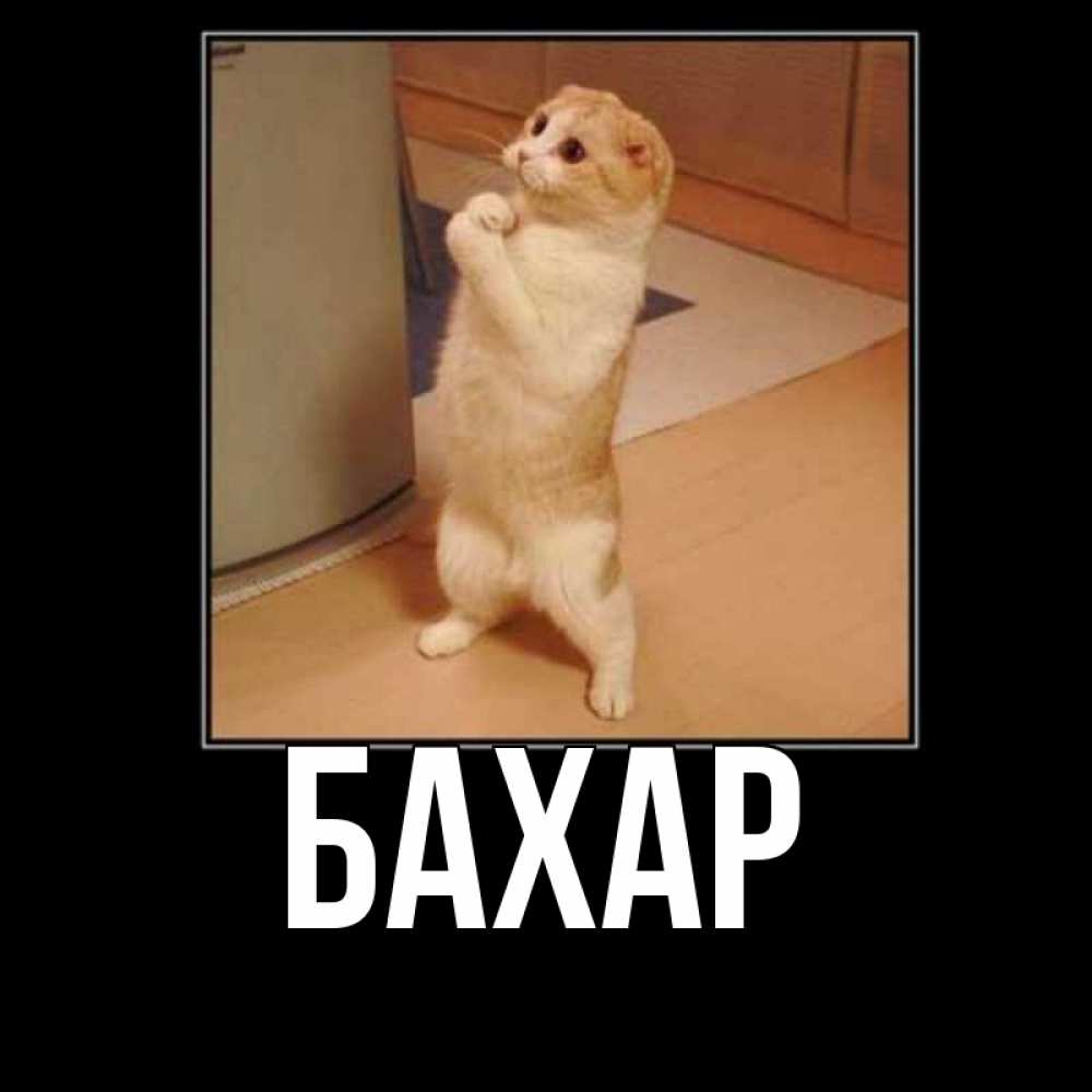 Картинка  с именем , Бахар