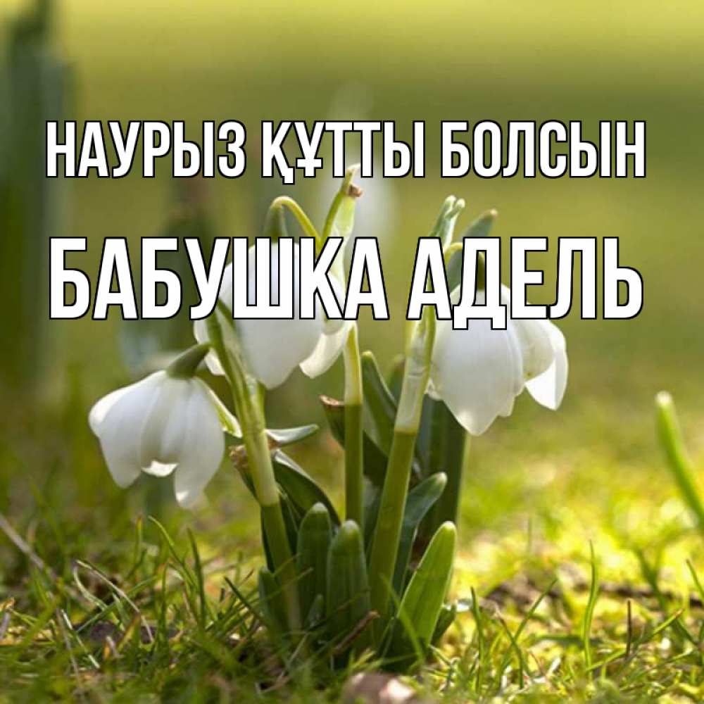 Открытка на каждый день с именем, Бабушка-Адель Наурыз құтты болсын ранние цветы 2 Прикольная открытка с пожеланием онлайн скачать бесплатно 