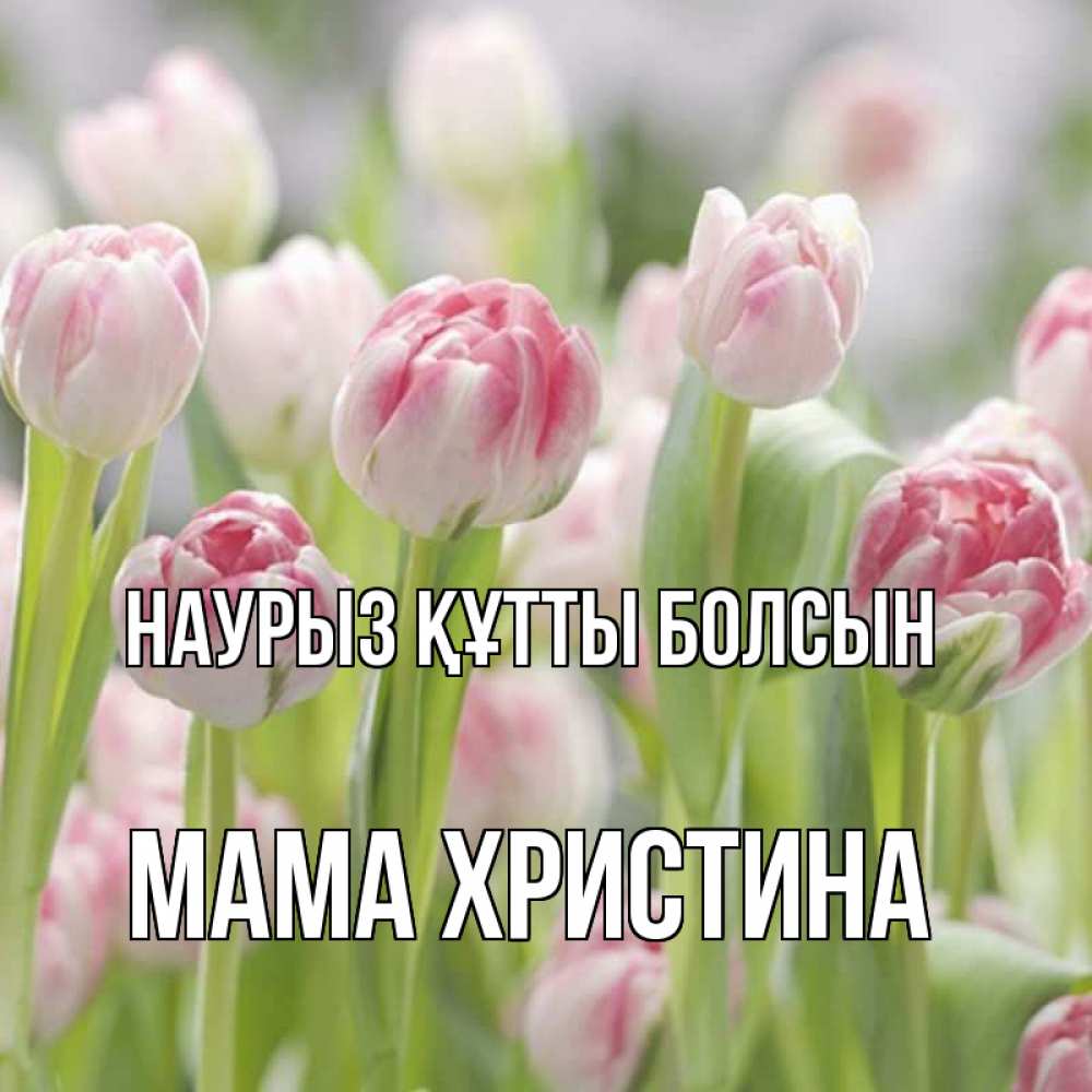Открытка на каждый день с именем, Мама-Христина Наурыз құтты болсын цветы Прикольная открытка с пожеланием онлайн скачать бесплатно 