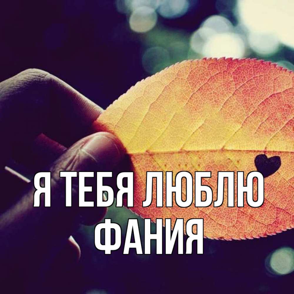 Открытка на каждый день с именем, Фания Я тебя люблю держу лист Прикольная открытка с пожеланием онлайн скачать бесплатно 
