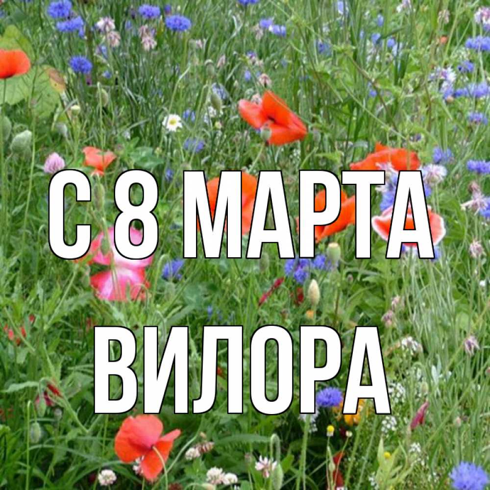 Открытка на каждый день с именем, Вилора С 8 марта международный женский день 4 Прикольная открытка с пожеланием онлайн скачать бесплатно 