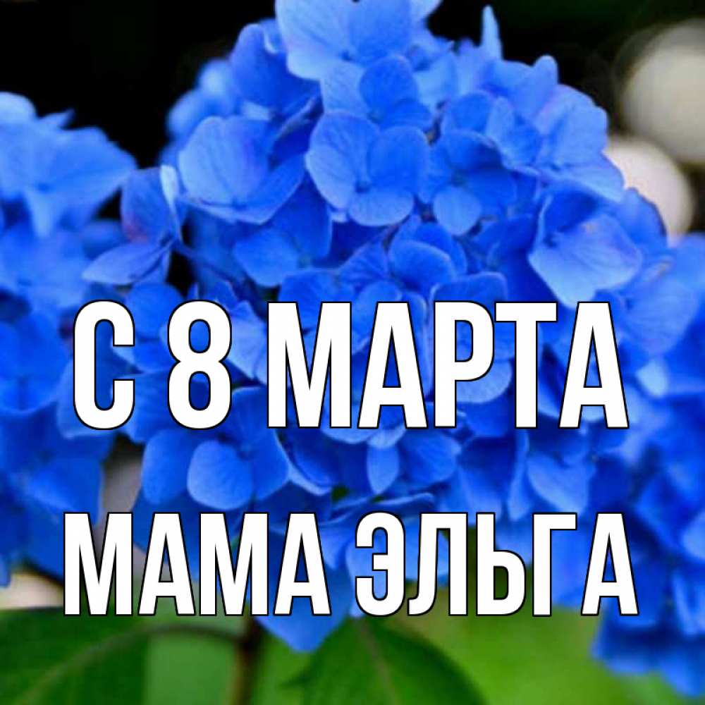 Открытка на каждый день с именем, Мама-Эльга С 8 марта синие цветы Прикольная открытка с пожеланием онлайн скачать бесплатно 