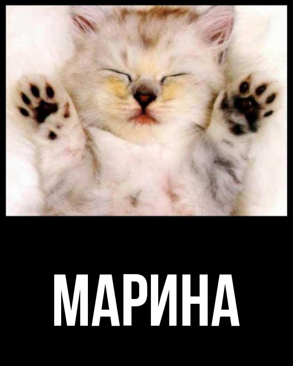 Открытка на каждый день с именем, Марина Главная маленький котенок Прикольная открытка с пожеланием онлайн скачать бесплатно 