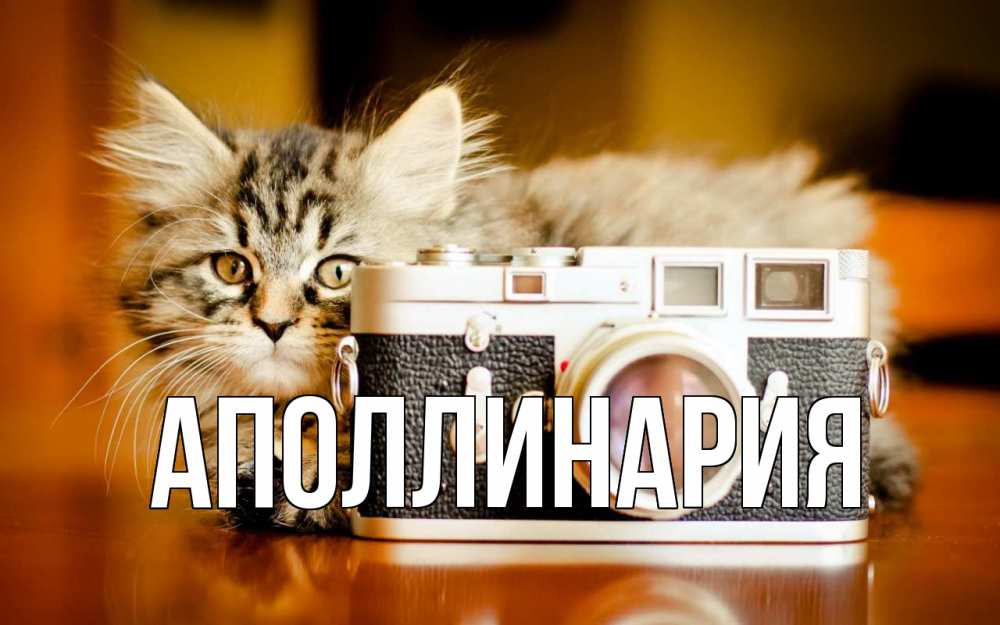 Открытка на каждый день с именем, Аполлинария Главная с днем фотографа Прикольная открытка с пожеланием онлайн скачать бесплатно 