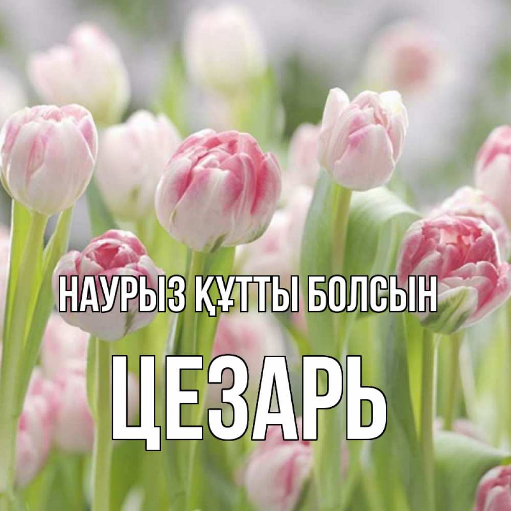 Открытка на каждый день с именем, Цезарь Наурыз құтты болсын цветы Прикольная открытка с пожеланием онлайн скачать бесплатно 