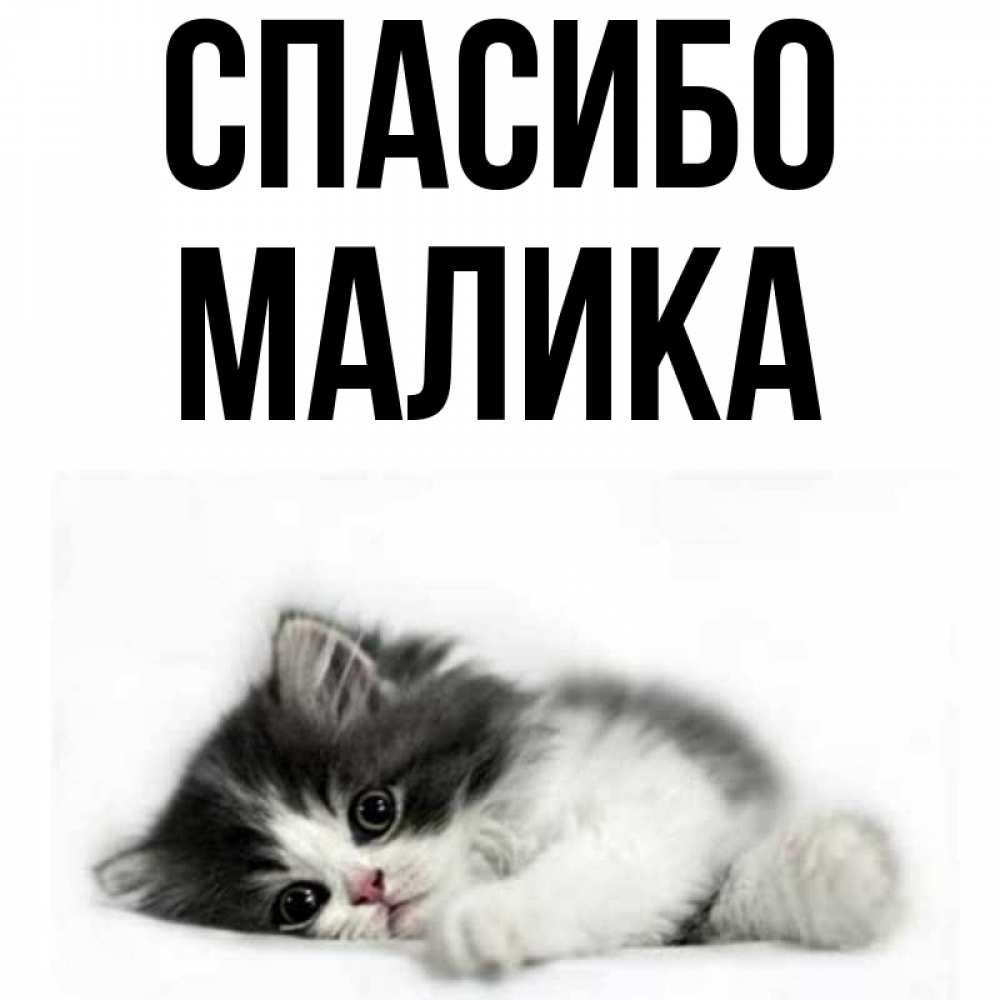 Картинки с маликами
