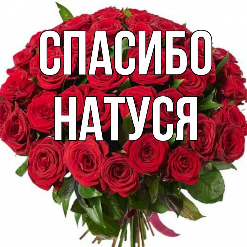 Спасибо натуся картинки