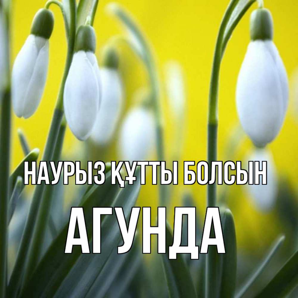Открытка на каждый день с именем, Агунда Наурыз құтты болсын весенние цветы Прикольная открытка с пожеланием онлайн скачать бесплатно 