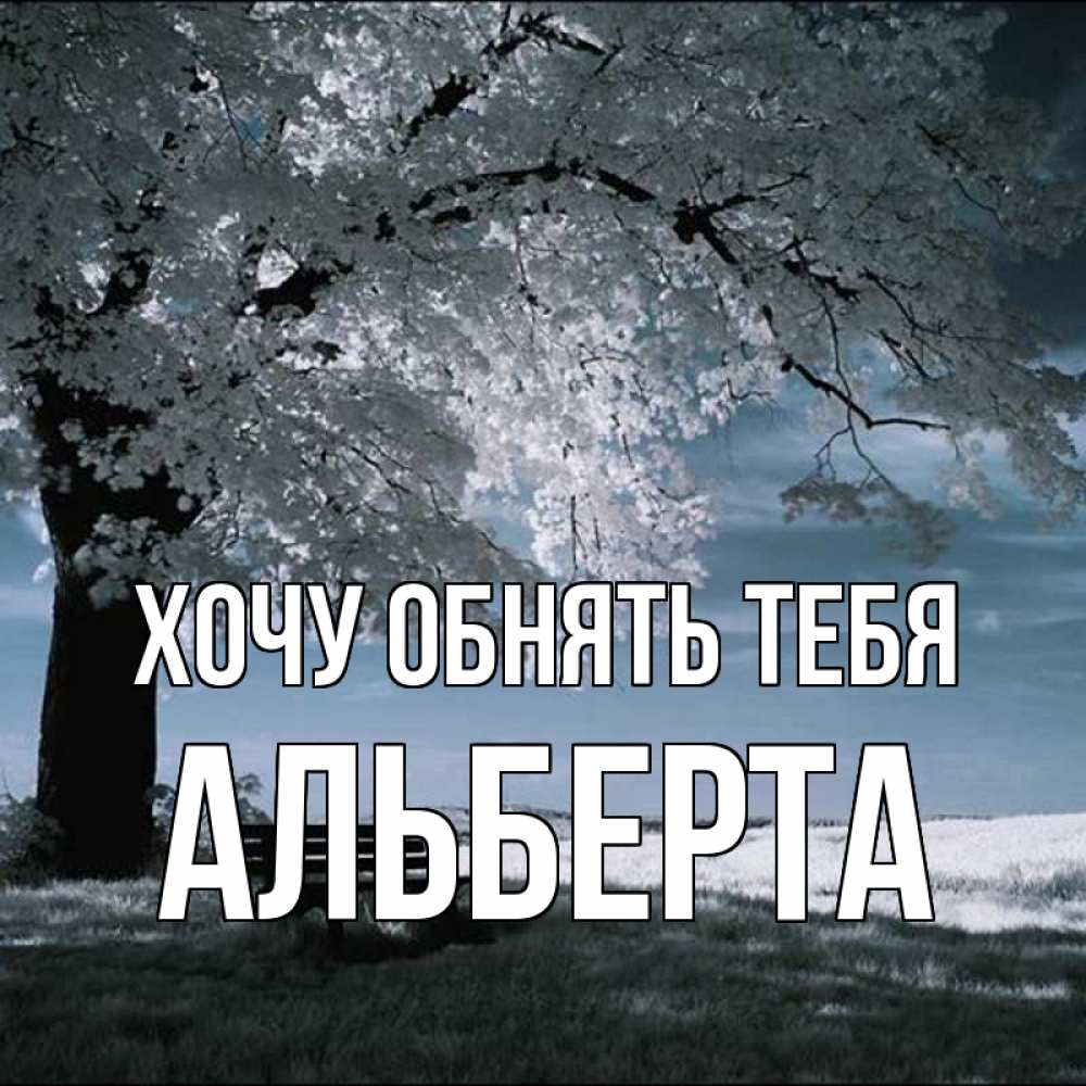 Открытка на каждый день с именем, Альберта Хочу обнять тебя дерево Прикольная открытка с пожеланием онлайн скачать бесплатно 