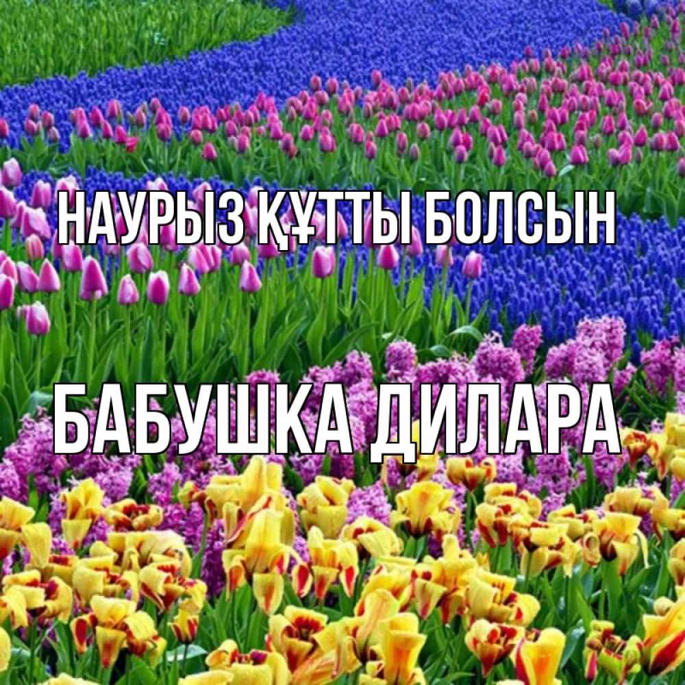 Открытка на каждый день с именем, Бабушка-Дилара Наурыз құтты болсын цветы Прикольная открытка с пожеланием онлайн скачать бесплатно 