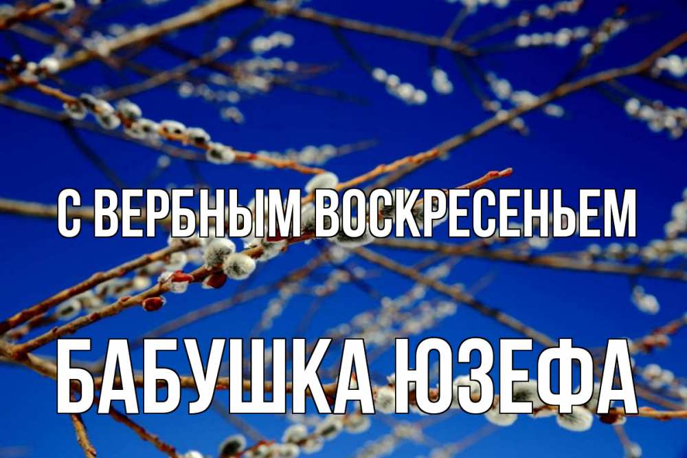 Открытка на каждый день с именем, Бабушка-Юзефа С вербным воскресеньем верба Прикольная открытка с пожеланием онлайн скачать бесплатно 