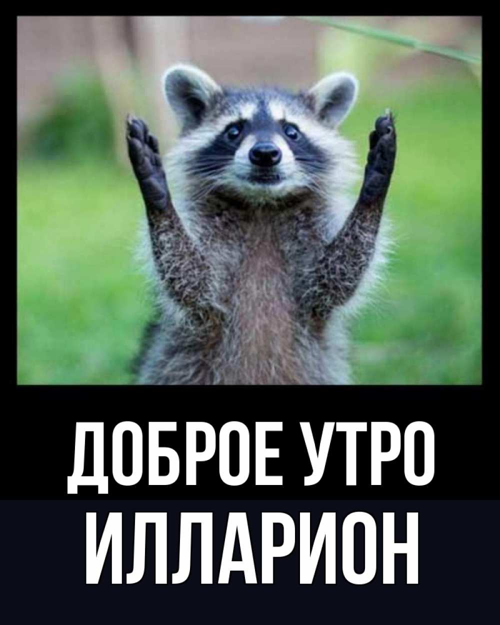 Открытка на каждый день с именем, Илларион Доброе утро хорошее настроение утречком Прикольная открытка с пожеланием онлайн скачать бесплатно 