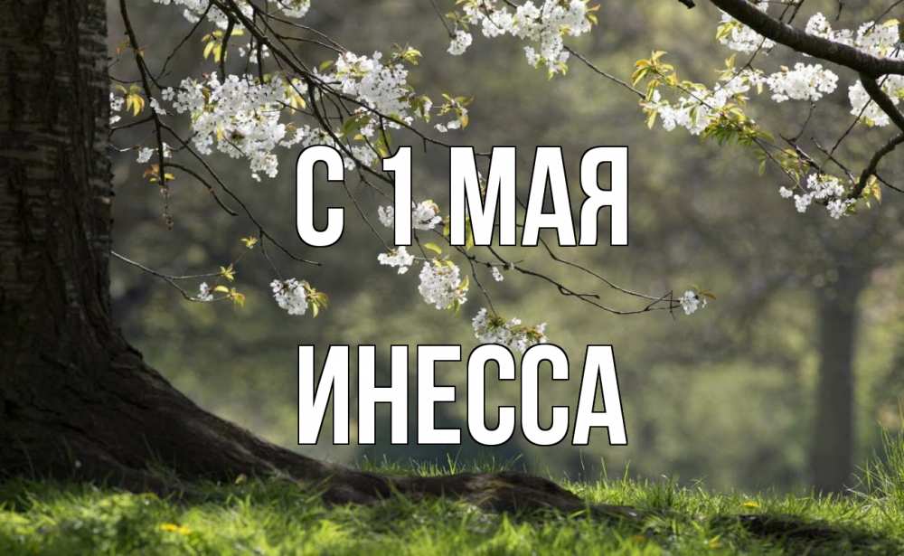 Открытка на каждый день с именем, Инесса С 1 мая С 1 мая Прикольная открытка с пожеланием онлайн скачать бесплатно 