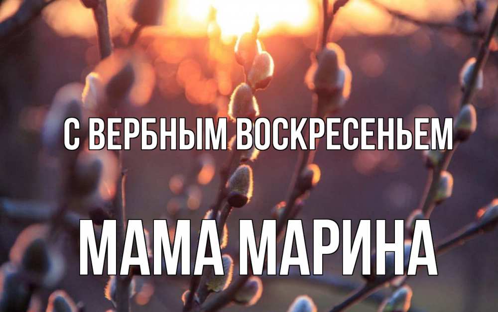 Открытка на каждый день с именем, Мама-Марина С вербным воскресеньем верба Прикольная открытка с пожеланием онлайн скачать бесплатно 