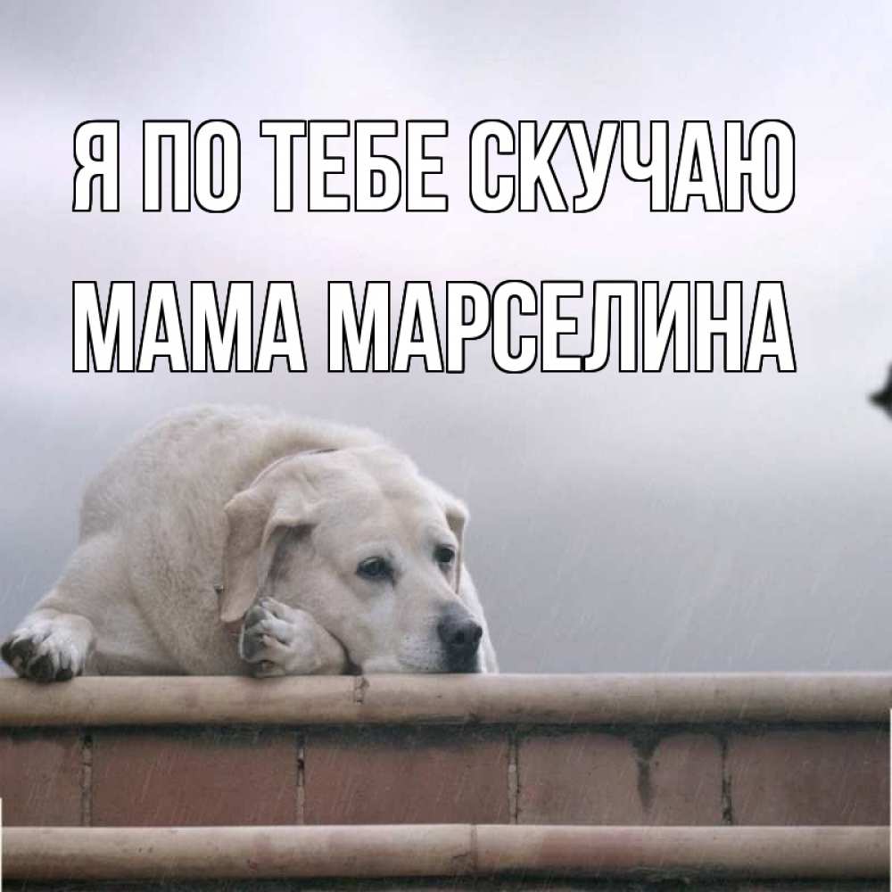 Открытка на каждый день с именем, Мама-Марселина Я по тебе скучаю ждет Прикольная открытка с пожеланием онлайн скачать бесплатно 