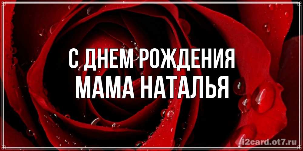 Открытка на каждый день с именем, Мама-Наталья С днем рождения крупная бордовая роза Прикольная открытка с пожеланием онлайн скачать бесплатно 