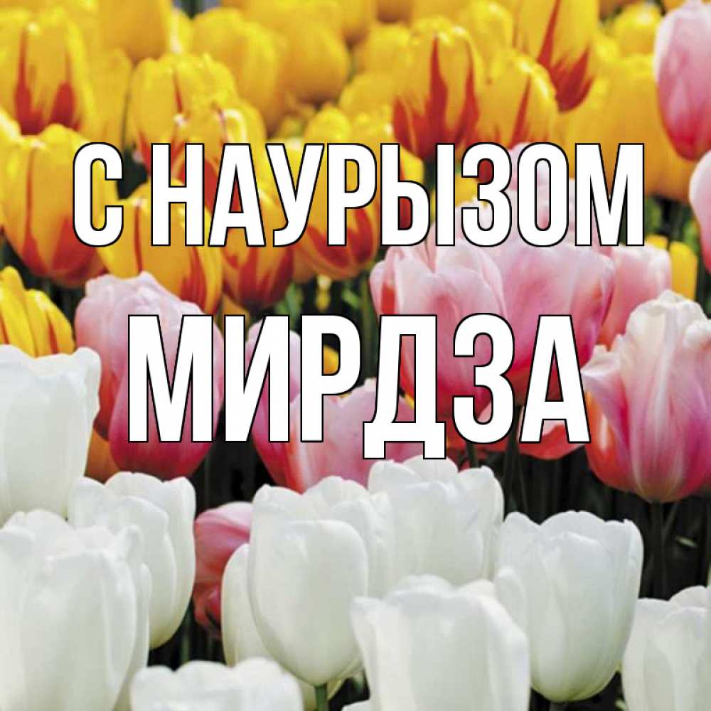 Открытка на каждый день с именем, Мирдза С наурызом разноцветные цветы Прикольная открытка с пожеланием онлайн скачать бесплатно 