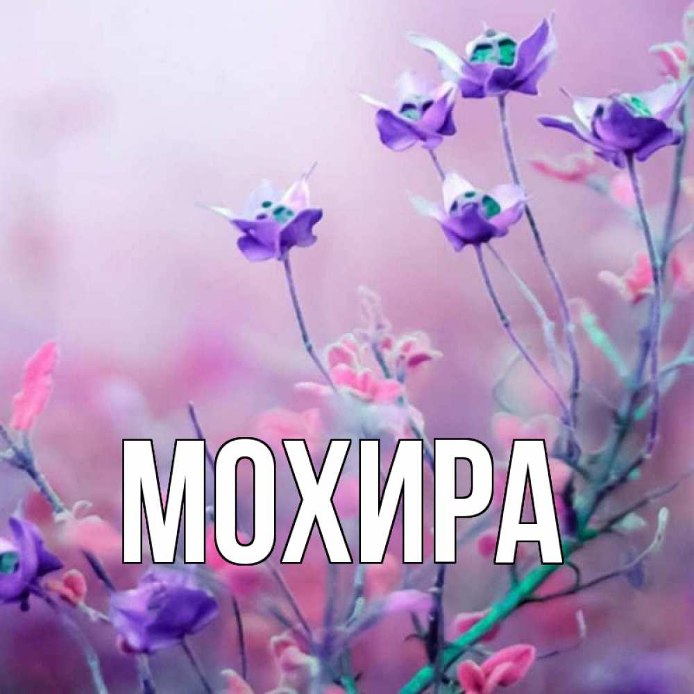 Цветы Для Марины Картинки Красивые