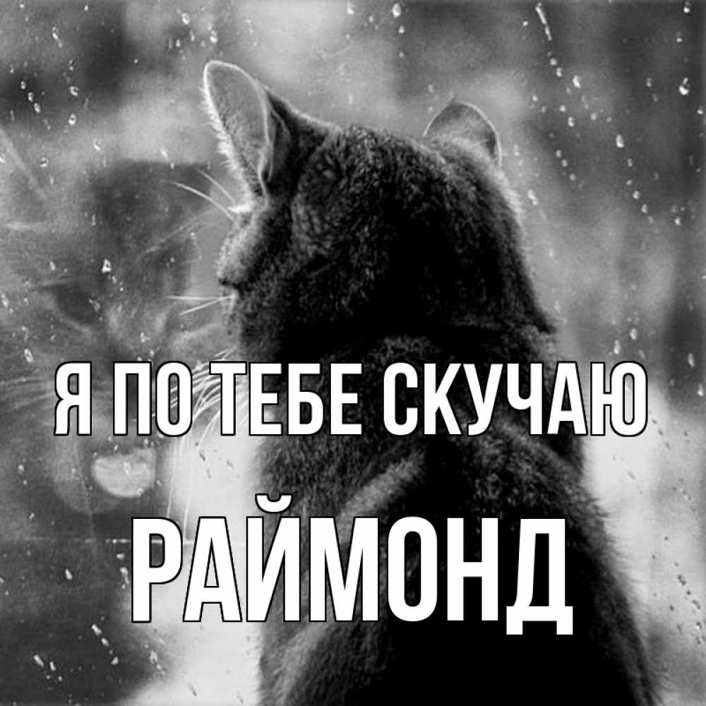 Открытка на каждый день с именем, Раймонд Я по тебе скучаю скорее ко мне приходи 1 Прикольная открытка с пожеланием онлайн скачать бесплатно 