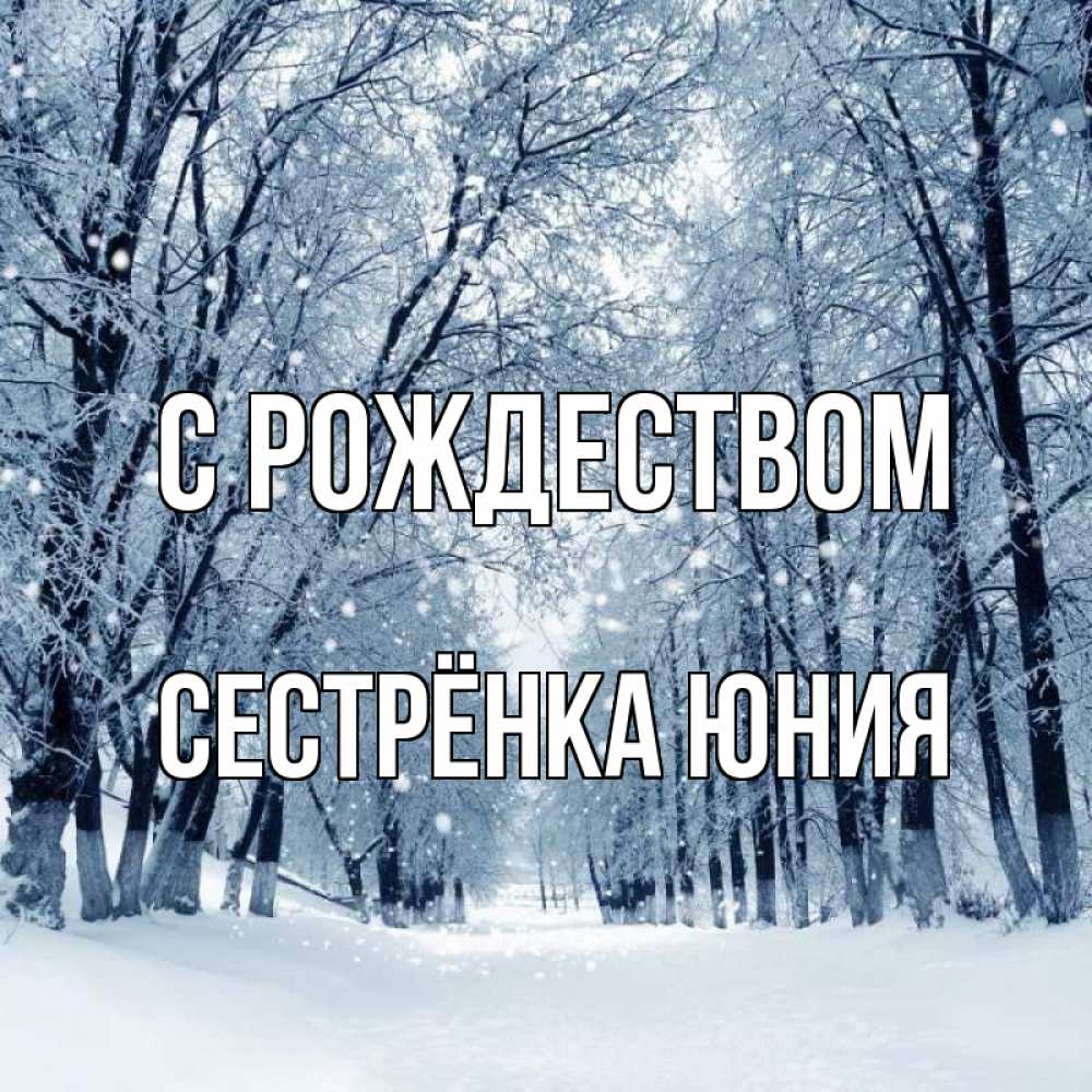 Открытка на каждый день с именем, Сестрёнка-Юния С рождеством снег, лес, парк Прикольная открытка с пожеланием онлайн скачать бесплатно 