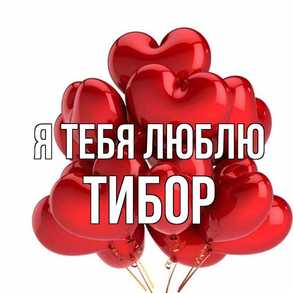 Открытка на каждый день с именем, Тибор Я тебя люблю бордовые шары Прикольная открытка с пожеланием онлайн скачать бесплатно 