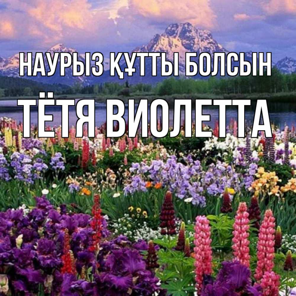 Открытка на каждый день с именем, Тётя-Виолетта Наурыз құтты болсын наурыз Прикольная открытка с пожеланием онлайн скачать бесплатно 