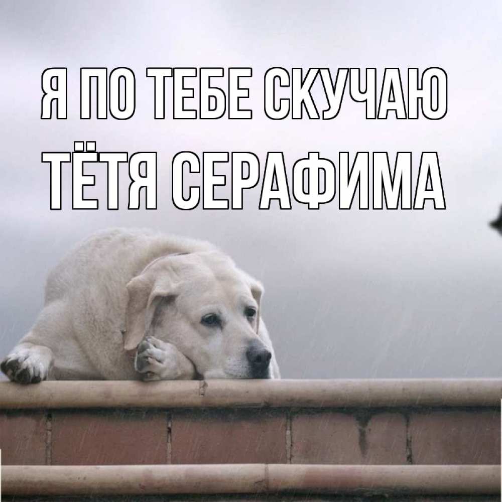 Открытка на каждый день с именем, Тётя-Серафима Я по тебе скучаю ждет Прикольная открытка с пожеланием онлайн скачать бесплатно 