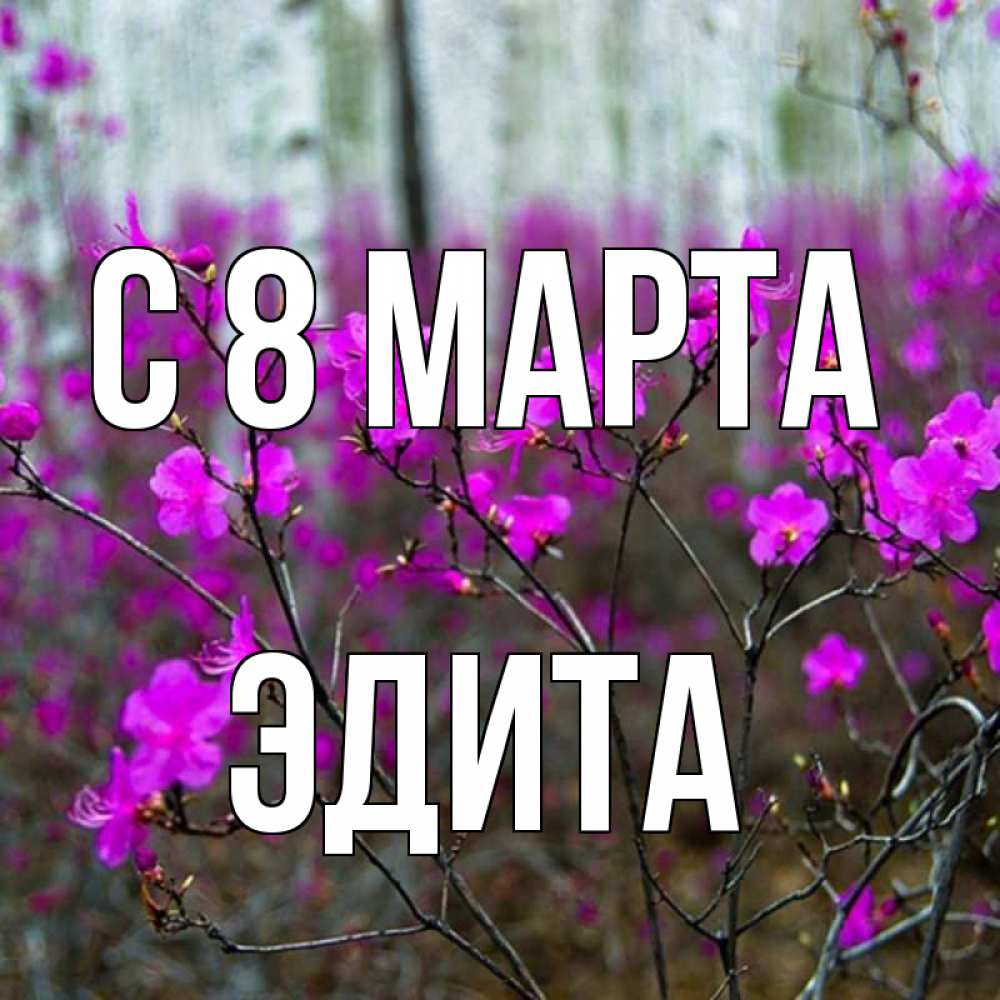 Открытка на каждый день с именем, Эдита С 8 МАРТА дикие цветы Прикольная открытка с пожеланием онлайн скачать бесплатно 