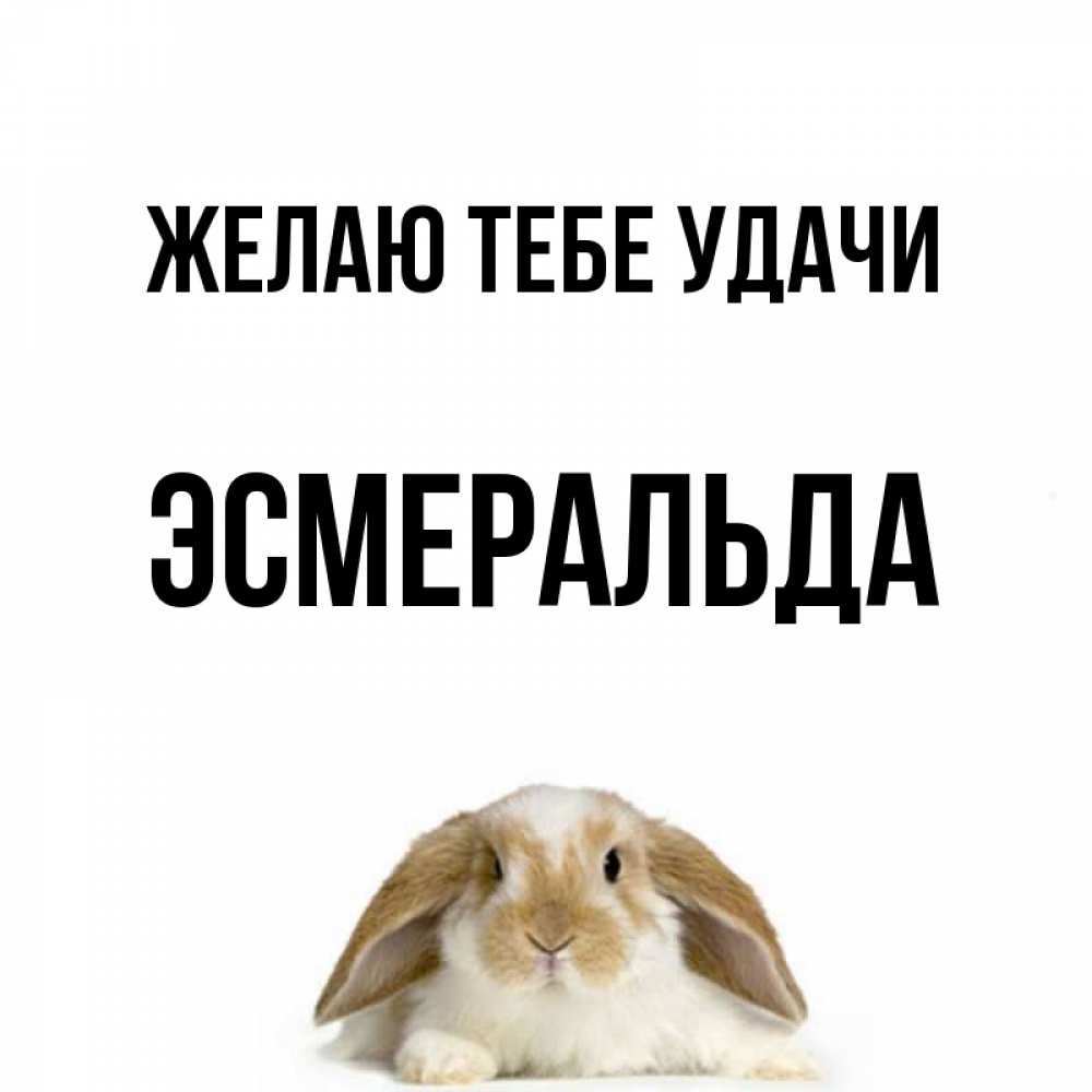 Открытка на каждый день с именем, Эсмеральда Желаю тебе удачи открытки с произвольным текстом который можно вставить в открытку и создать ее самостоятельно бесплатно онлайн Прикольная открытка с пожеланием онлайн скачать бесплатно 