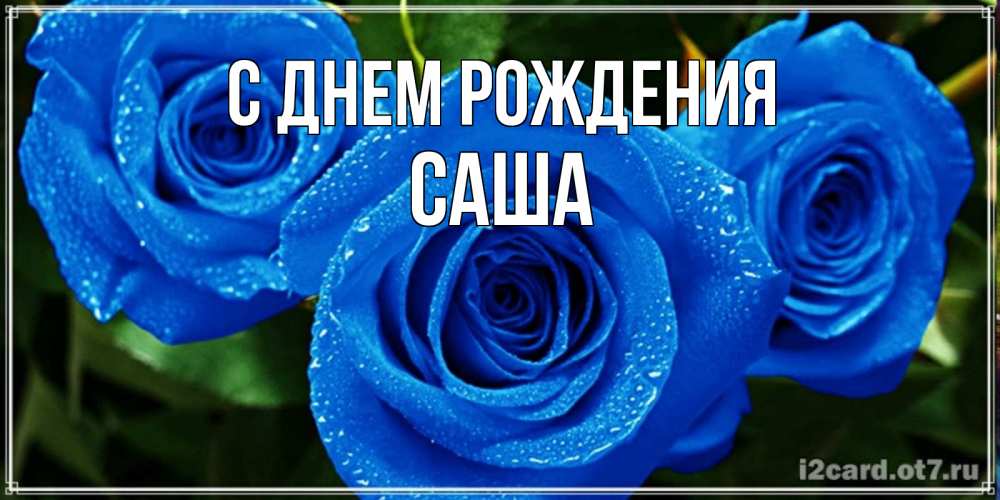 Открытка на каждый день с именем, саша С днем рождения розы с синим цветом Прикольная открытка с пожеланием онлайн скачать бесплатно 