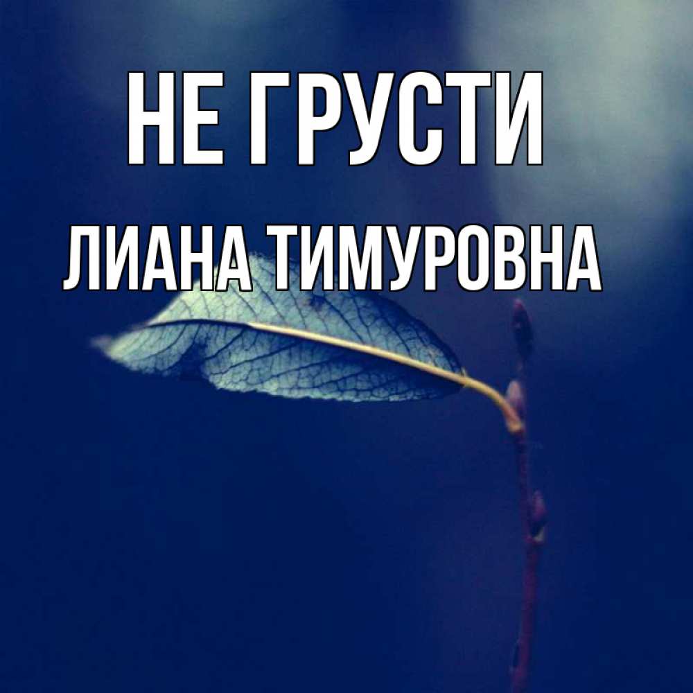 Открытка на каждый день с именем, Лиана-Тимуровна Не грусти растение Прикольная открытка с пожеланием онлайн скачать бесплатно 