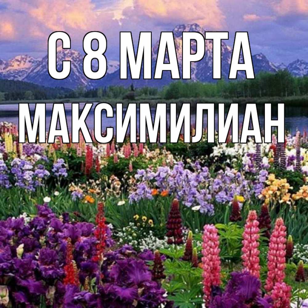Открытка на каждый день с именем, Максимилиан С 8 МАРТА международный женский день Прикольная открытка с пожеланием онлайн скачать бесплатно 