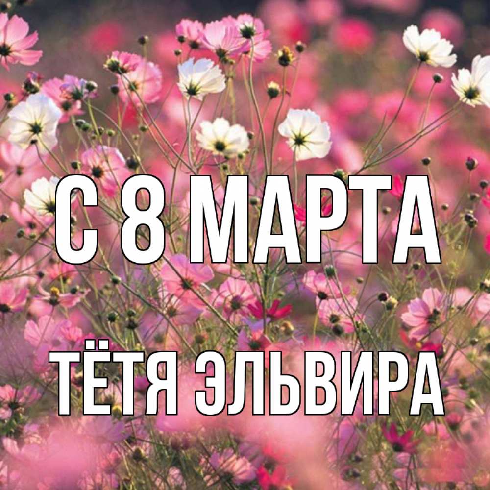Открытка на каждый день с именем, Тётя-Эльвира С 8 марта красиво 1 Прикольная открытка с пожеланием онлайн скачать бесплатно 