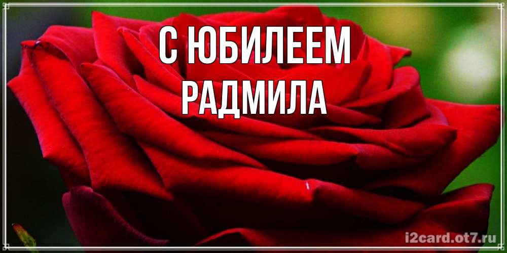 Открытка на каждый день с именем, Радмила С юбилеем розочка очень красивая Прикольная открытка с пожеланием онлайн скачать бесплатно 