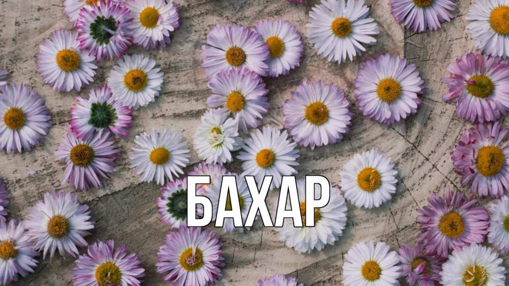 Открытка на каждый день с именем, Бахар Главная с днем семьи Прикольная открытка с пожеланием онлайн скачать бесплатно 