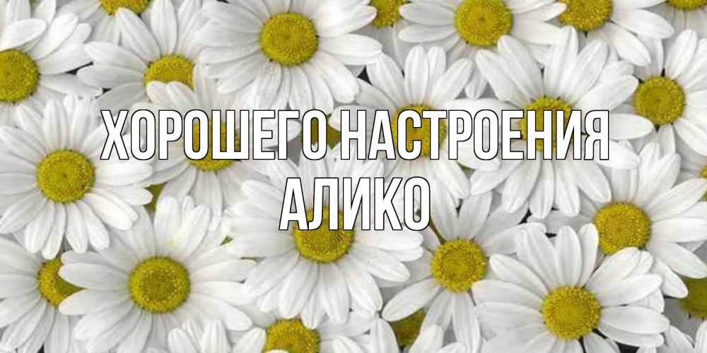 Открытка на каждый день с именем, Алико Хорошего настроения поляна ромашек Прикольная открытка с пожеланием онлайн скачать бесплатно 