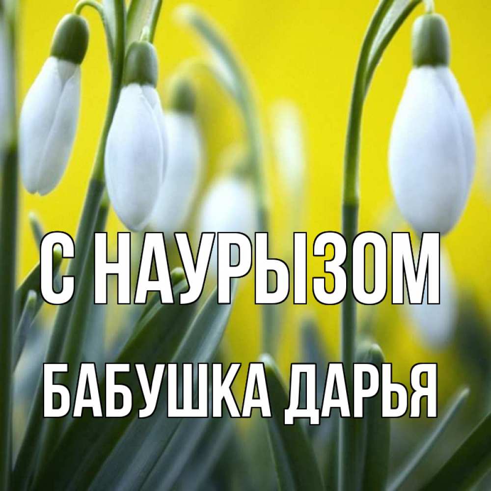 Открытка на каждый день с именем, Бабушка-Дарья С наурызом весенние цветы Прикольная открытка с пожеланием онлайн скачать бесплатно 