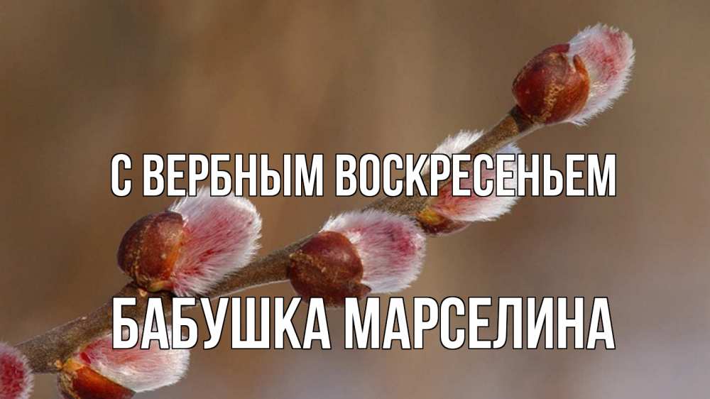 Открытка на каждый день с именем, Бабушка-Марселина С вербным воскресеньем верба Прикольная открытка с пожеланием онлайн скачать бесплатно 