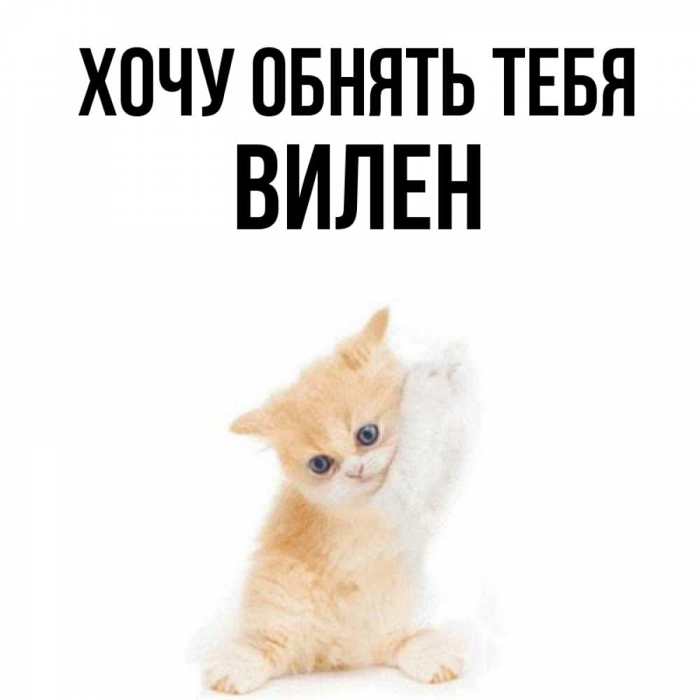 Открытка на каждый день с именем, Вилен Хочу обнять тебя я хочу очень скорее обнимаешек Прикольная открытка с пожеланием онлайн скачать бесплатно 