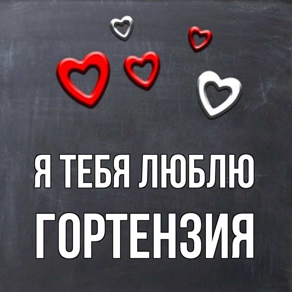 Открытка на каждый день с именем, Гортензия Я тебя люблю сердечки белые и красные Прикольная открытка с пожеланием онлайн скачать бесплатно 