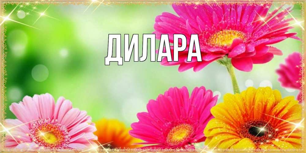 Открытка на каждый день с именем, Дилара Главная цветочки для любимой женщины Прикольная открытка с пожеланием онлайн скачать бесплатно 