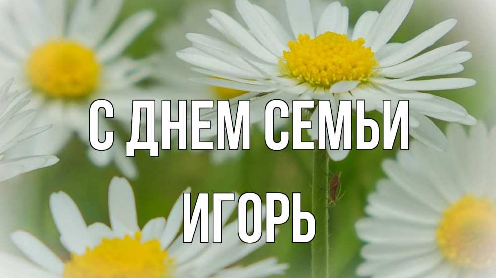 Открытка на каждый день с именем, Игорь С днем семьи с днем семьи  1 Прикольная открытка с пожеланием онлайн скачать бесплатно 